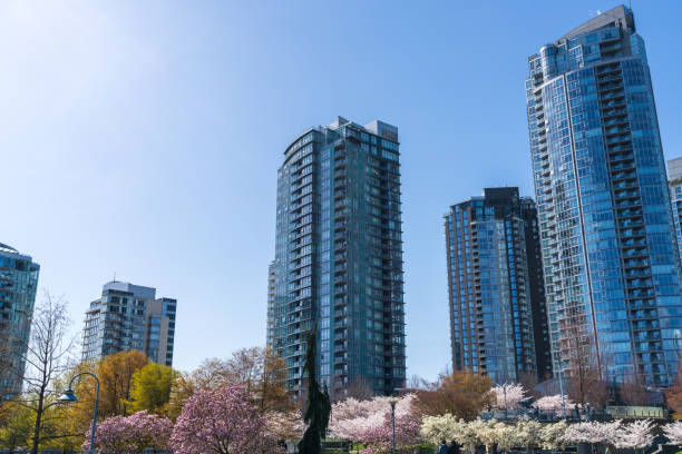 David Lam Park in springtime, cherry blossom flowers in full bloom. Vancouver city, BC, Canada. stock photo