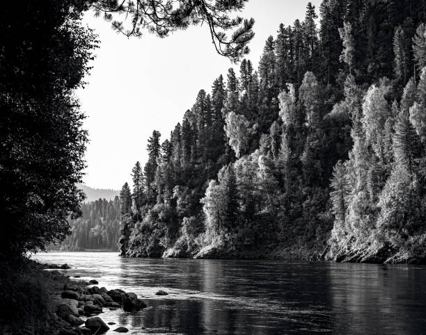 istock The landscape with Biya river in Altay 1363723626
