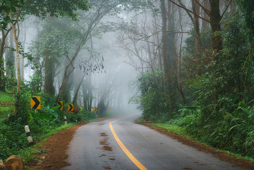 Beautiful morning road in the fog at Doi Pha Hee, Chiang Rai, Thailand