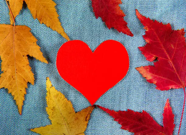 Autumnal Leaves and Heart Shape on the Textile Background