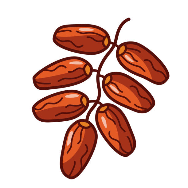 1,388 Cartoon Of A Dried Dates Stock Photos, Pictures & Royalty-Free Images - iStock 1,388 Cartoon Of A Dried Dates Stock Photos, Pictures & Royalty-Free Images - iStock