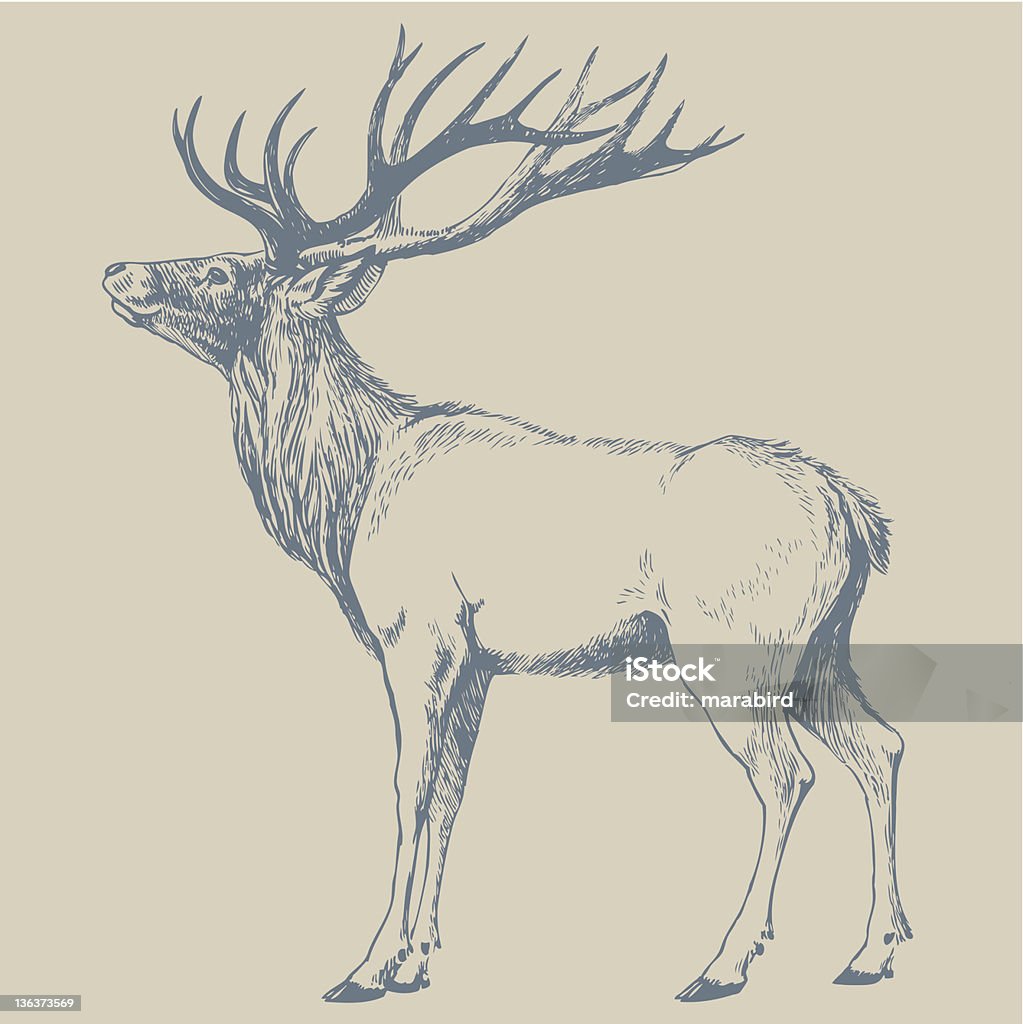 DEER Hand drawn illustration. Deer stock vector