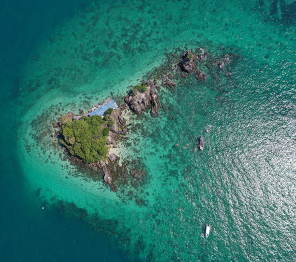 vista aérea de koh khai nuai, a ilha dos gatos em phuket, tailândia - indochina wild animals cats travel locations - fotografias e filmes do acervo