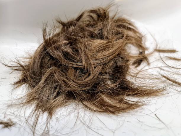 istock Light brown mid-length cutted hair on white 1363735938