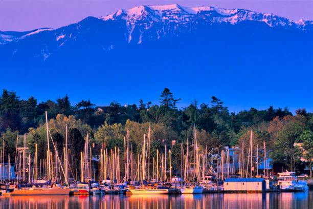 victoria, vancouver island - travel nautical vessel commercial dock pier imagens e fotografias de stock