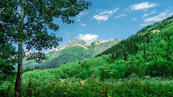 Mountains of North Ossetia, green tree beautiful summer landscapes with blue sky and clouds.