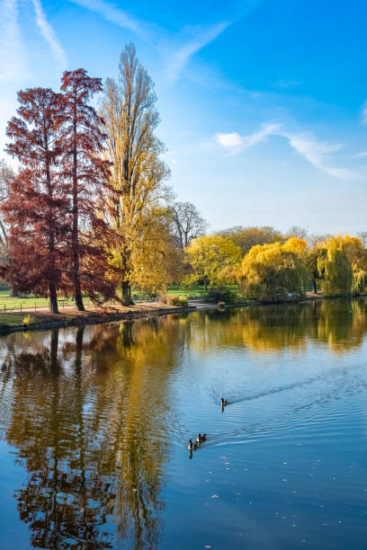 istock The Vincennes lake, with birds 1363738471