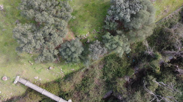 Aerial view of the Rabanales stream, near Córdoba