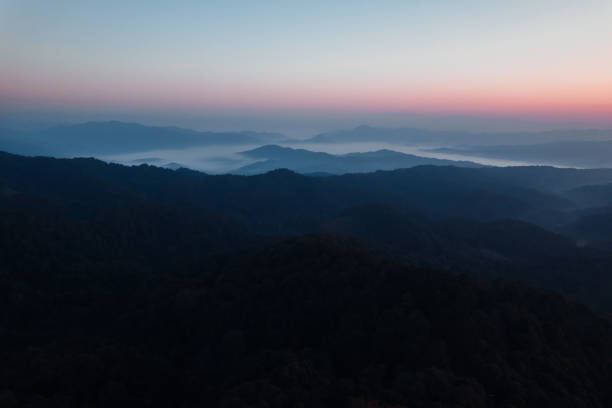 istock early morning sunrise in the forest 1363745606