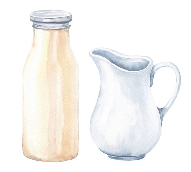 ilustrações de stock, clip art, desenhos animados e ícones de watercolor jug and bottle of milk on white background. watercolour food illustration. - jarro de leite