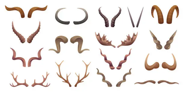 Vector illustration of Horns collection. Buffalo rams sheep animal head anatomic parts exact vector collection set
