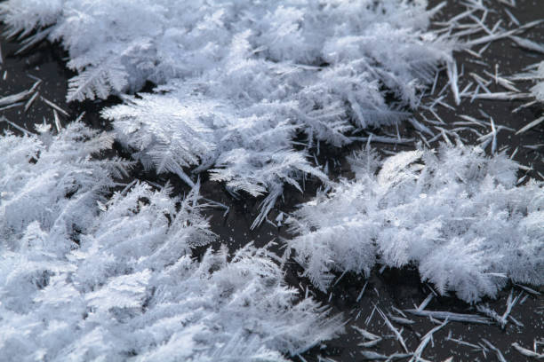 istock ice needles grew on the dark ice 1363750802