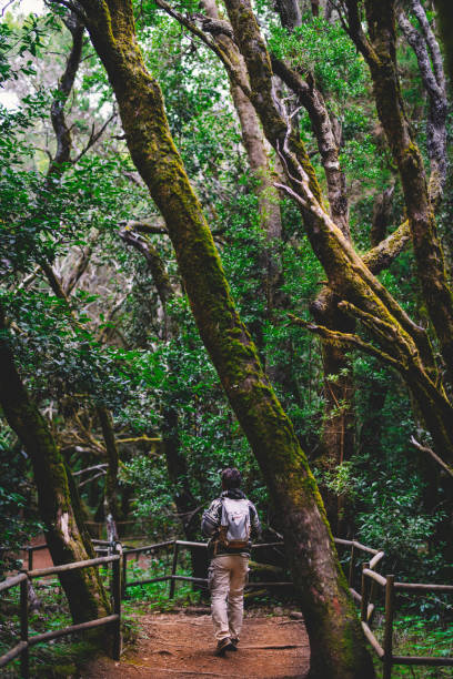 istock Back view of a man walking with backpack in the green forest woods between trees following a path - hiking and trekking leisure activity for healthy people on vacation or travel adventure 1363751756