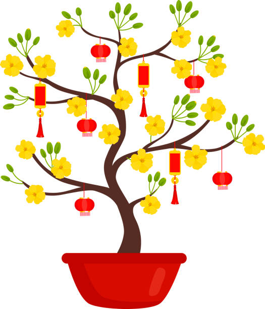 вьетнамский желтый цветок абрикосового дерева (ochna integerrima) цветок с висячими счастливыми конвертами к празднику тет. - ochoa stock illustrations