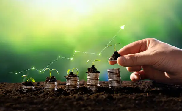 Photo of Concept of business growth,profit, development and success. Seedling are growing with business arrow of growth.Young plants on coin stacks  increase.Growing money,finance and investment.