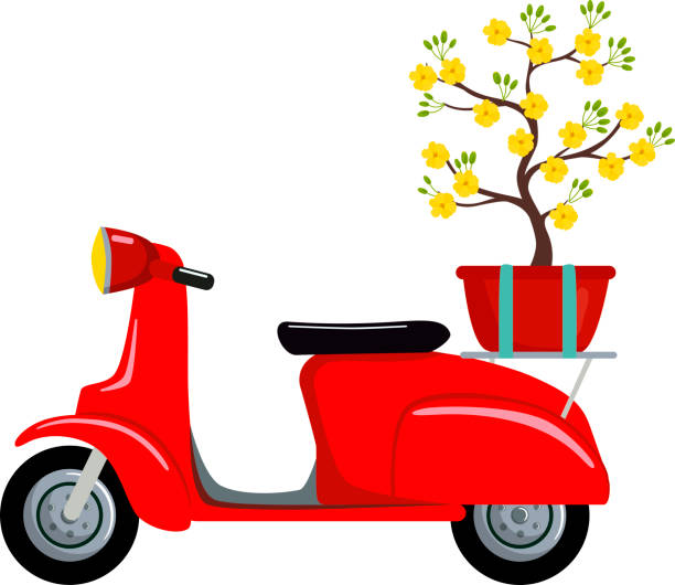 красный ретро-скутер с вьетнамским желтым цветком абрикосового дерева (ochna integerrima) цветок к празднику тет. - ochoa stock illustrations
