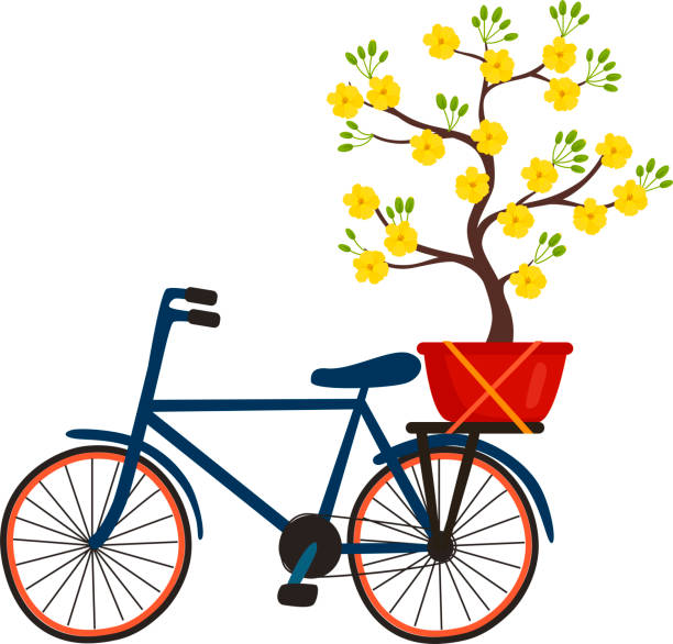 велосипед с вьетнамским желтым цветком абрикосового дерева (ochna integerrima) цветок к празднику тет. - ochoa stock illustrations
