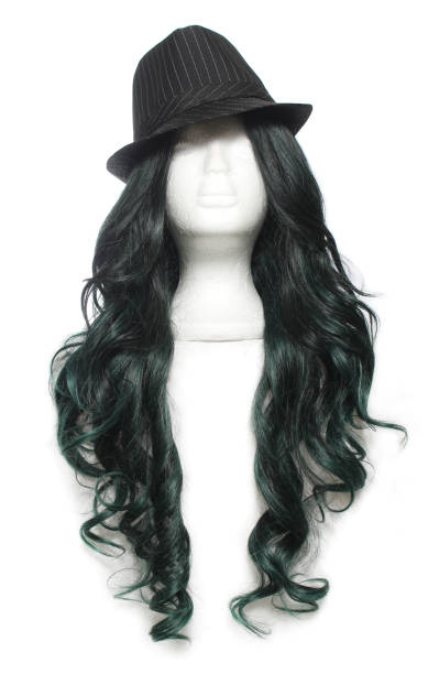 chapéu clássico de fedora na cabeça de manequim com cabelo preto - wig hat mannequin isolated - fotografias e filmes do acervo