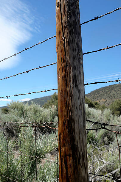 istock Sierra Mountain Ranch Fence 136375553