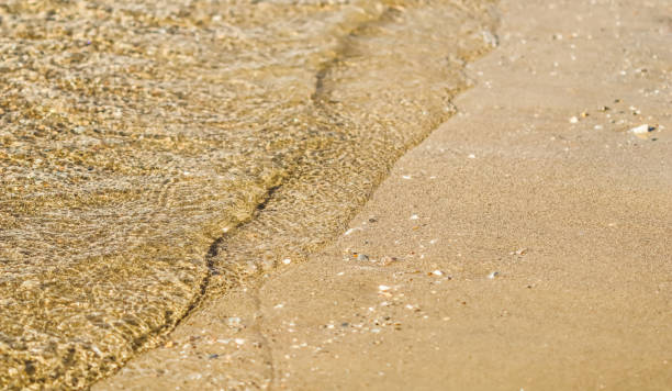 istock Flowing wave on the sea sandy beach. Summer vacation background 1363755883