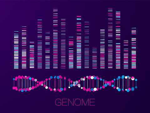 Big genomic data visualization. DNA test, genom map. Graphic concept for your design