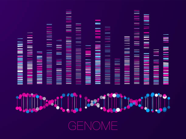Big genomic data visualization Big genomic data visualization. DNA test, genom map. Graphic concept for your design dna test stock illustrations