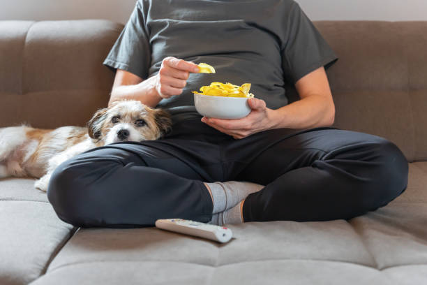 A man with a dog and potato chips is sitting on a sofa Partial cut, terrier, cozy, watch TV, bowl, hold, cross-legged, natural person, sweatpants jogging pants stock pictures, royalty-free photos & images