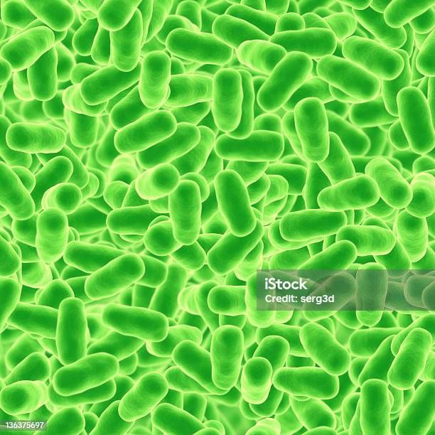Bactérias - Fotografias de stock e mais imagens de Ampliação - Ampliação, Bactéria, Bactéria Bacillus subtilis