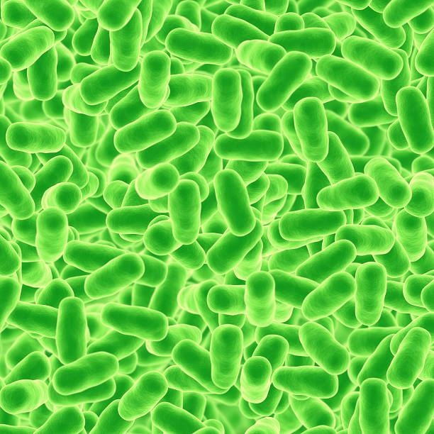бактерии - bacterium magnification high scale magnification green стоковые фото и изображения