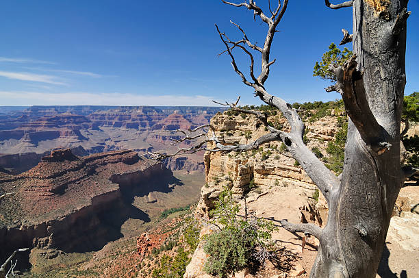 istock Grand Canyon National Park 136375725