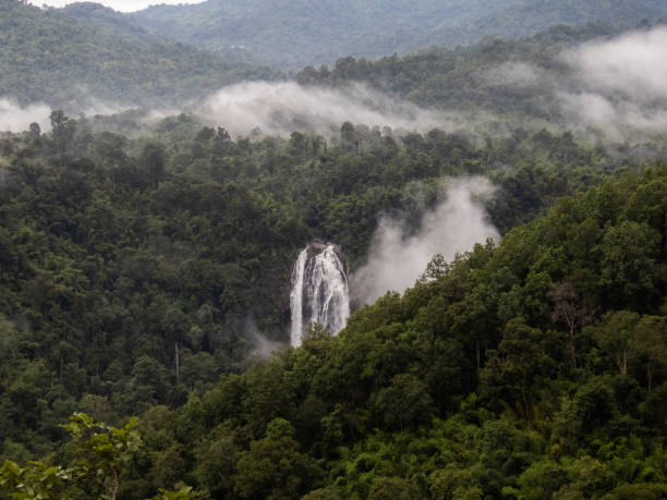 istock hight angle view of waterfall in the tropical rainforest 1363760311
