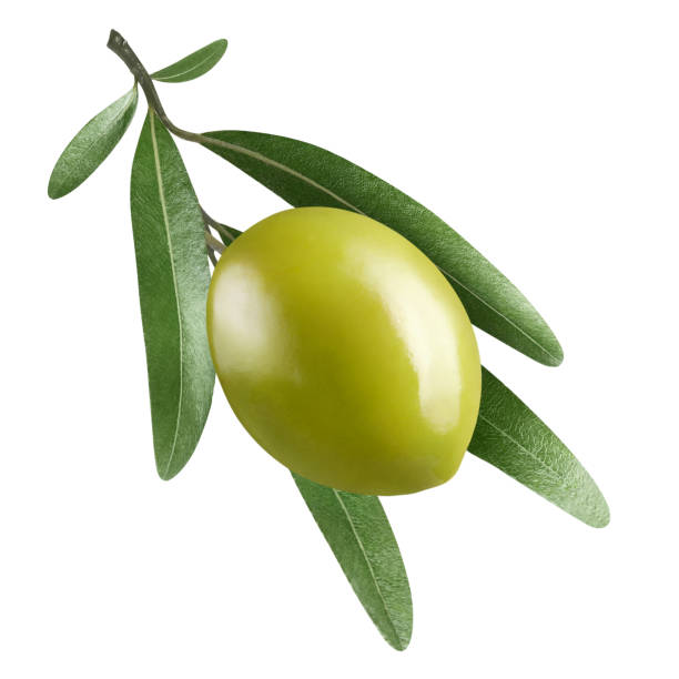 istock Delicious olive with leaves on white 1363763034