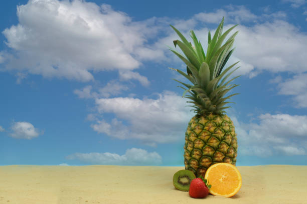 istock Pineapple, Tropical Drink and Fruit on Sand With Sky 1363763047