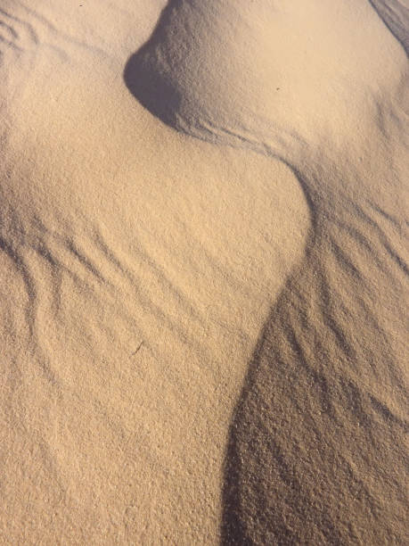 istock sand and dune in the desert 1363763340