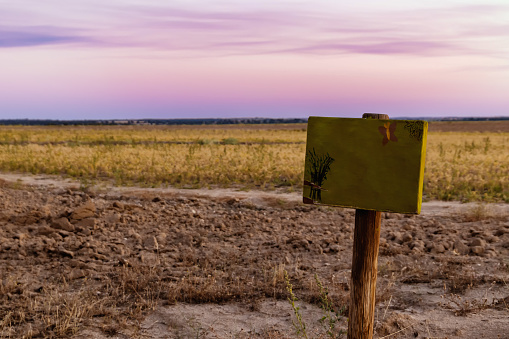 wooden signpost with copy space in a freshly planted farm field at dusk