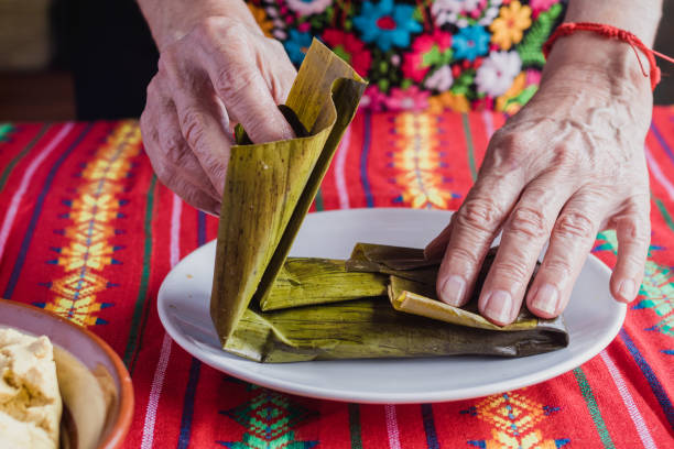 oaxacan-style tamale being wrapped mexican woman elaborating Oaxaca tamales for Candlemas festivity candlemas stock pictures, royalty-free photos & images