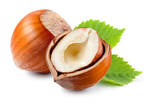 istock Filberts with leaves isolated on a white background. 1363764736