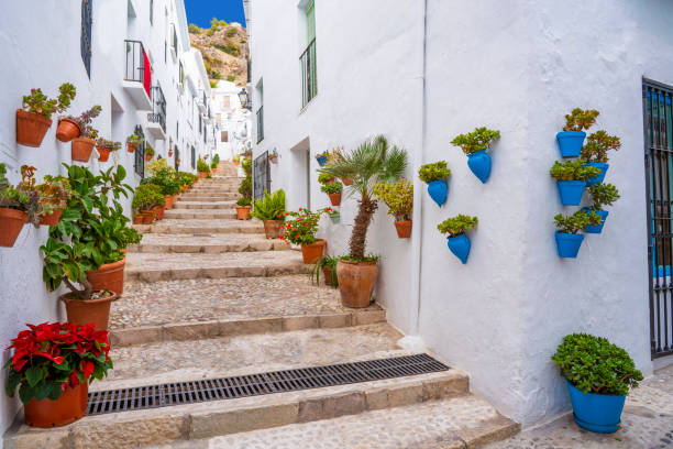 Frigiliana village whitewashed in Costa del Sol of Malaga iAndal Frigiliana village whitewashed white typical in Costa del Sol of Malaga in Andalusia Spain andalucia stock pictures, royalty-free photos & images