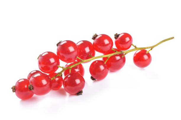 빨간색 개역 클러스터 - currant 뉴스 사진 이미지