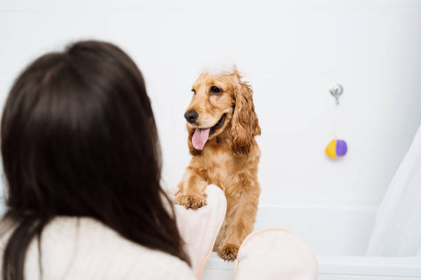 istock Woman with a Lovely Dog taking a bathroom 1363767005