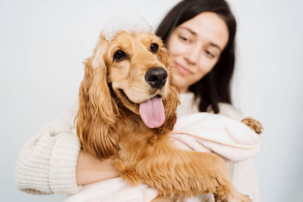 istock Woman with a Lovely Dog taking a bathroom 1363767085