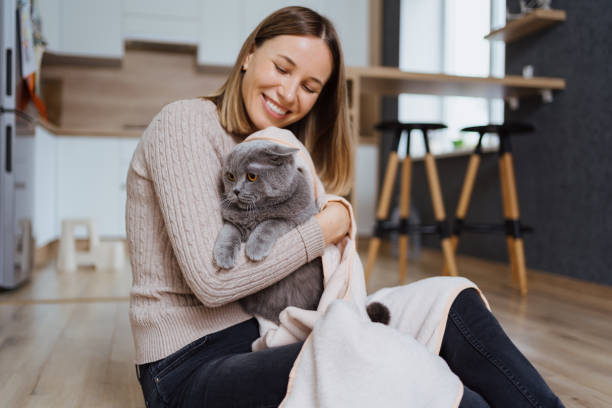 istock Pleasant photo about taking care and playing with a cat 1363767342