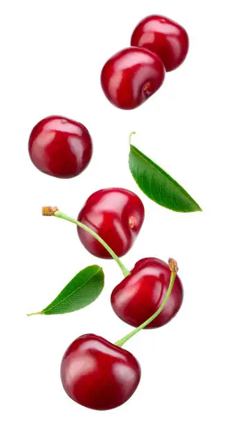Photo of Cherry isolated. Falling sour cherries with leaves on white background. Flying cherry.