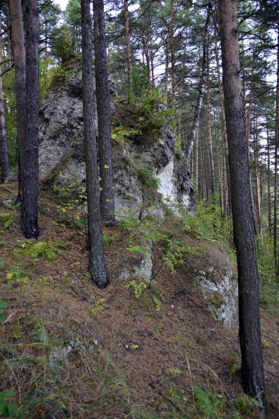 istock White gypsum stone outcrop 1363768457