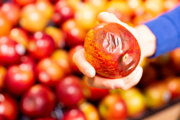 jeden kiepskie jabłko - apple rotting bad apple fruit zdjęcia i obrazy z banku zdjęć