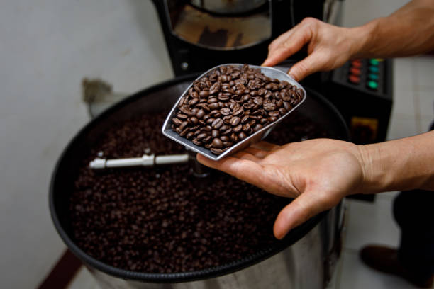 istock hand holding a probe of fresh roasted coffee beans 1363771204
