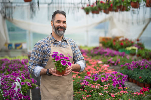 istock Greenhouse production 1363771315