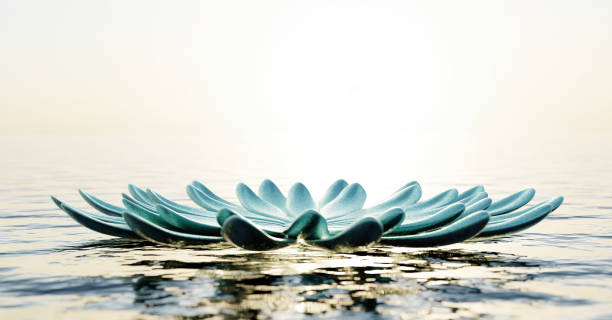 istock Zen flower decoration floating on water 1363775141