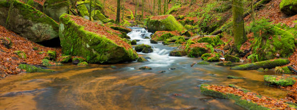 istock Panorama of mountain stream in autumn 1363777266