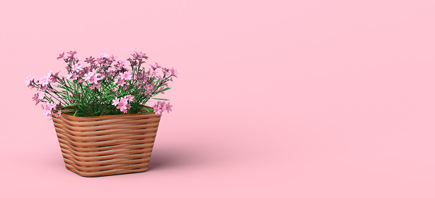 Wicker basket with spring flowers on pink background. Copy space. 3D illustration.